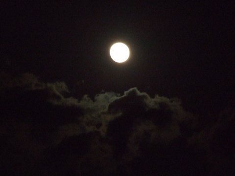DSCF1735.JPG