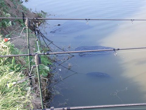 DSCF1742.JPG