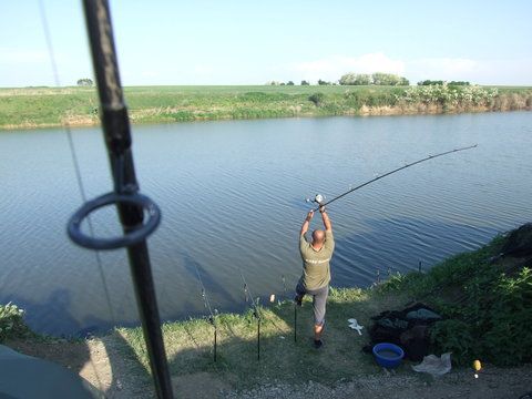 DSCF1745.JPG