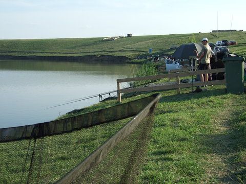 DSCF1767.JPG