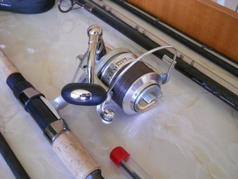 DSCN1185.JPG