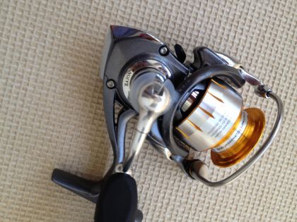 Daiwa Theory 2000