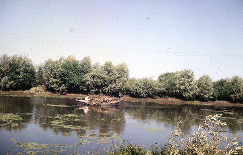 batranul barcagiu