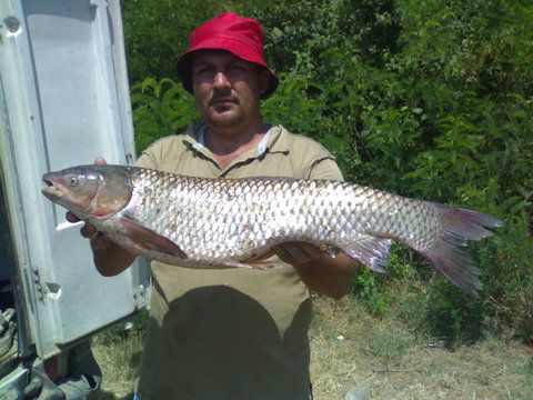 220720121250.jpg