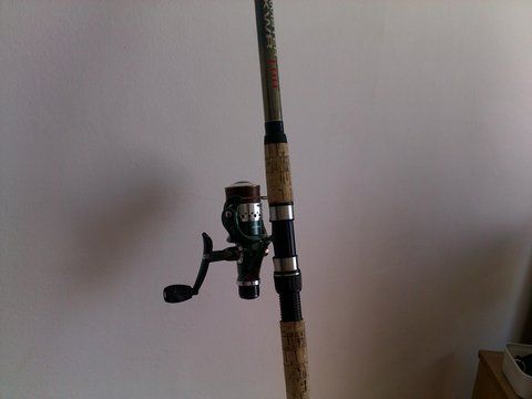 30082012325.jpg