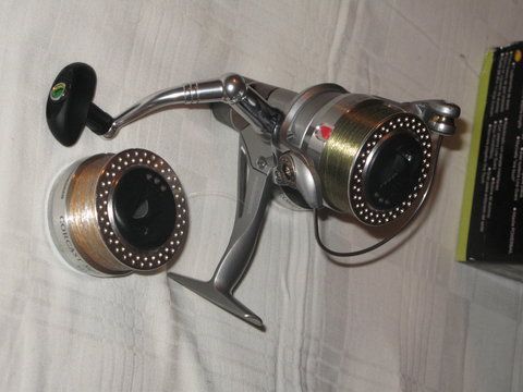 cormoran3.JPG