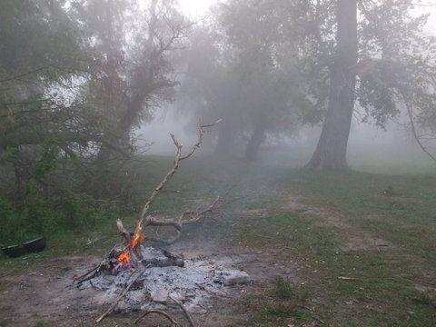 focul arde in ceatza diminetii