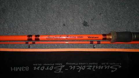Picture 013.jpg
