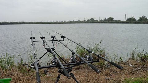 1357241519_tmp_P1020363.jpg