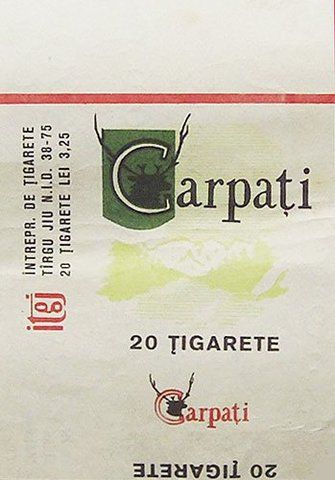 tigari-carpati.jpg