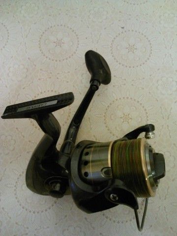 IMG203.jpg