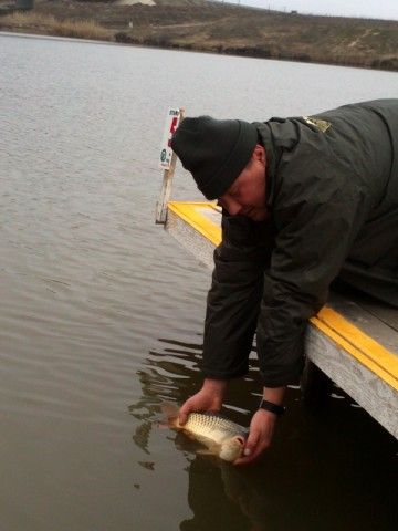IMG445.jpg