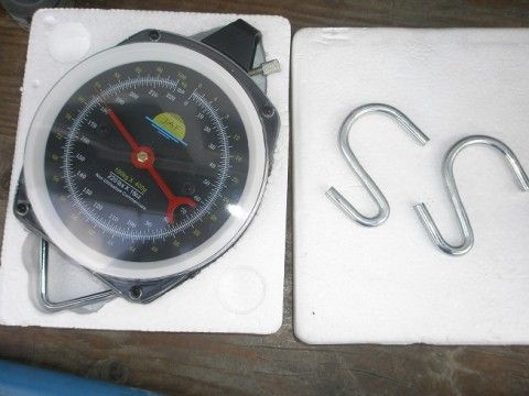 P3100004.JPG