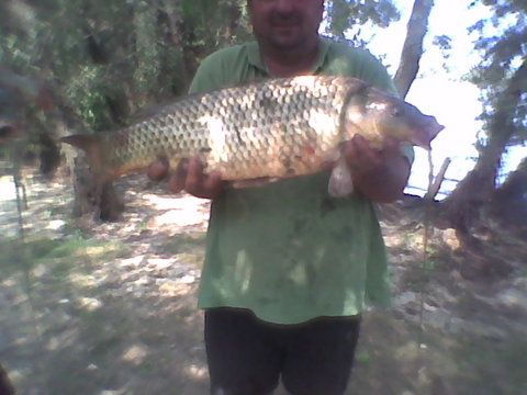 Altul de 5kg.