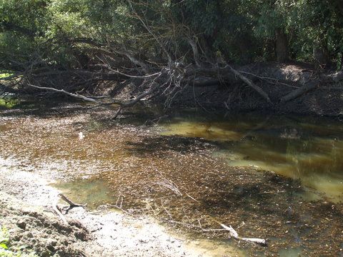 alt canal in 2008