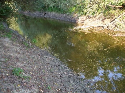 un canal unde am scos si caras de kil in 2009