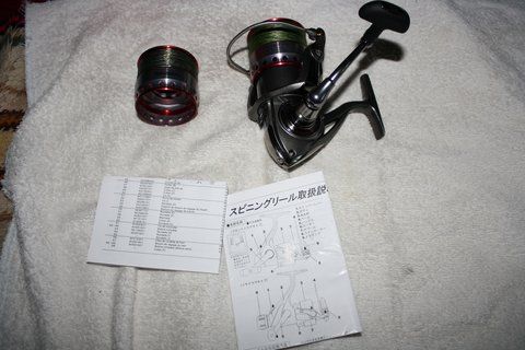IMG_3037.JPG