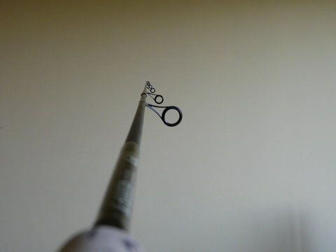 004.JPG