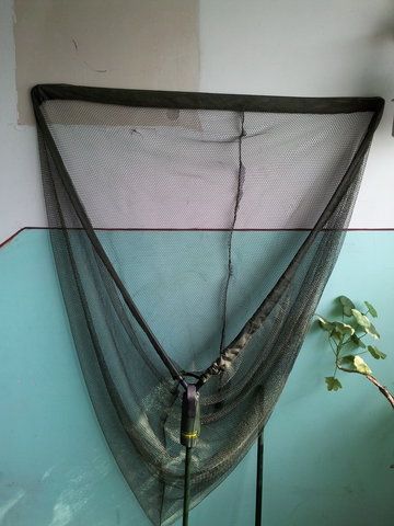 20130622_170155.jpg
