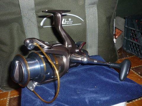 P1040842.JPG