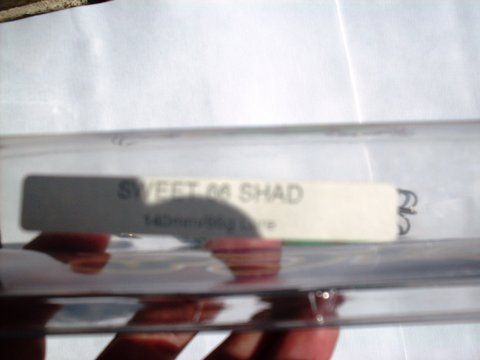 SDC16128.JPG
