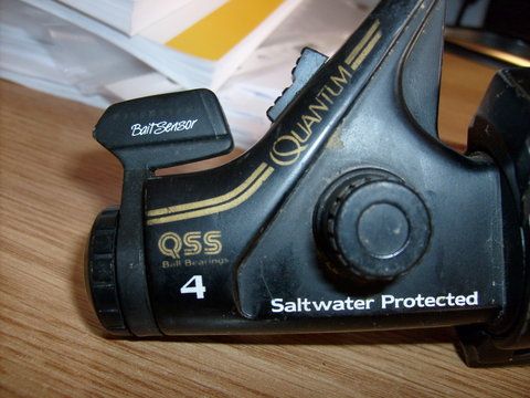 S6304566.JPG