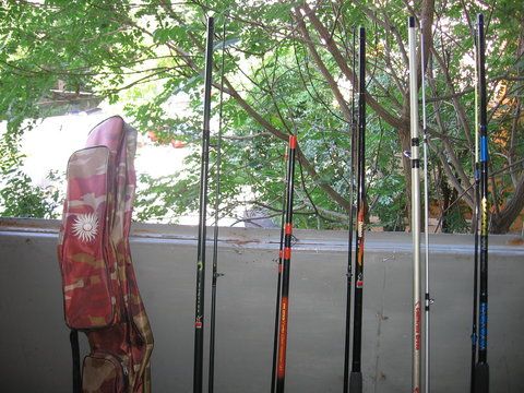 Picture 003.jpg