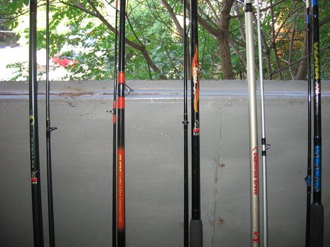 Picture 004.jpg