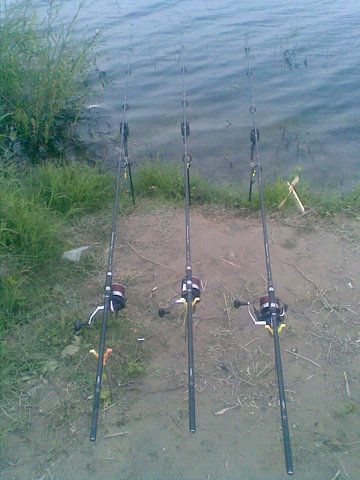 Image015.jpg