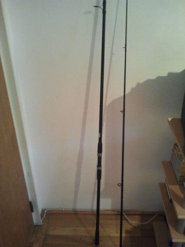 Formax Winner Carp.