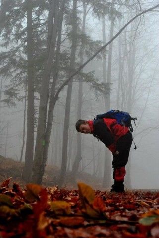 Drumul Vechi (Poiana Brasov)