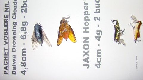 DSC04127.JPG