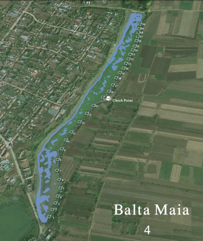 Balta Maia_Gata (1).png