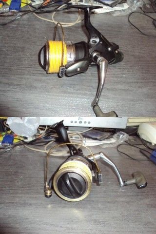 PL865.jpg
