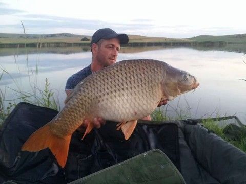 O partida reusita in acest weekend pe balta Sanpaul,dintre multele capturi am postat cei mai mari 3 pesti,cuprinsi intre 14-17,5 kg!