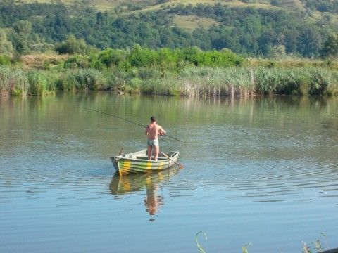 În drum spre a-l scoate pe mustăcios din agățătură