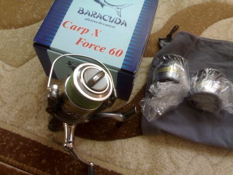 baracuda 1.jpg