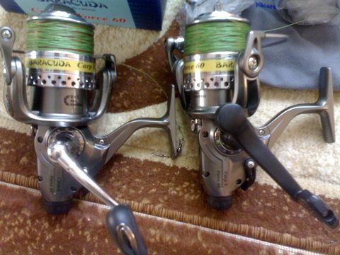 baracuda2.jpg