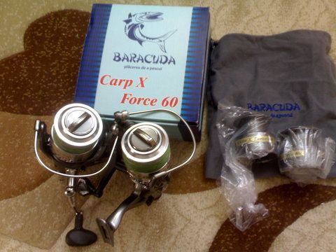 baracuda 3.jpg