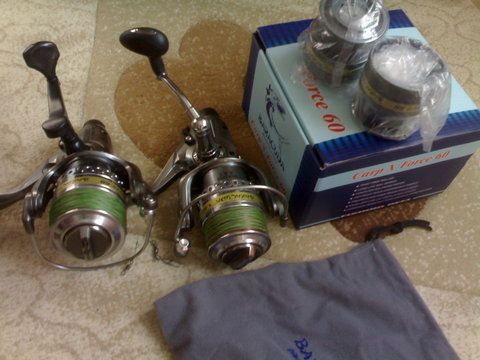 baracuda 4.jpg