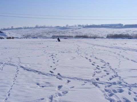 Peisaj ca-n povesti