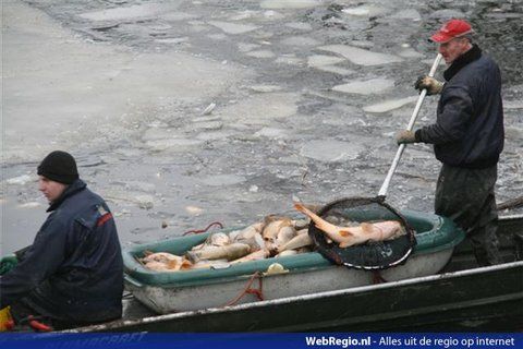 honderden-dode-vissen-uit-water-spaarnwoude-gevist-halfweg-7.jpg