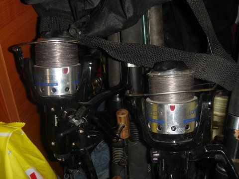 DSC00900.JPG