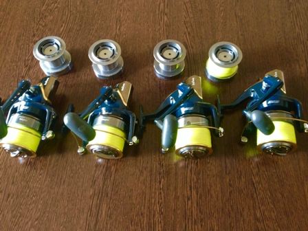 mulineta daiwa emcast 3.JPG