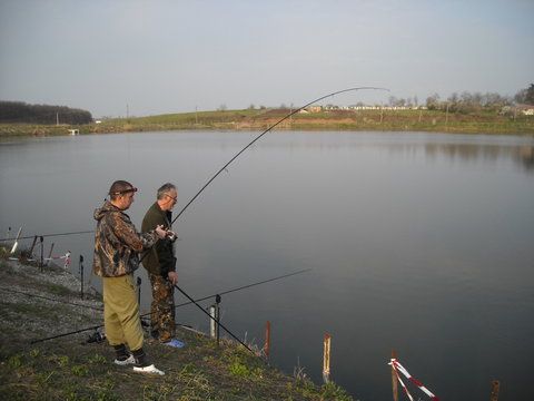 DSCN2117.jpg
