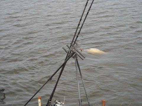 DSCN2092.jpg