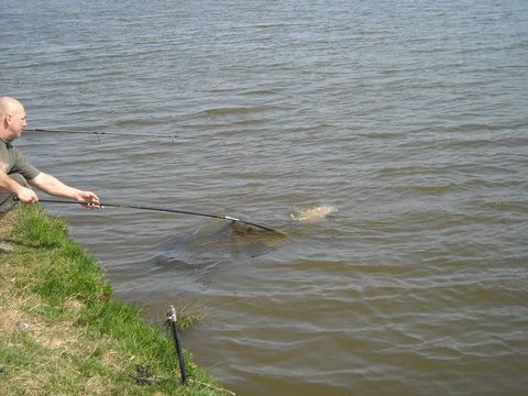 DSCN2090.jpg