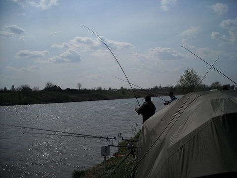 DSCN2078.jpg
