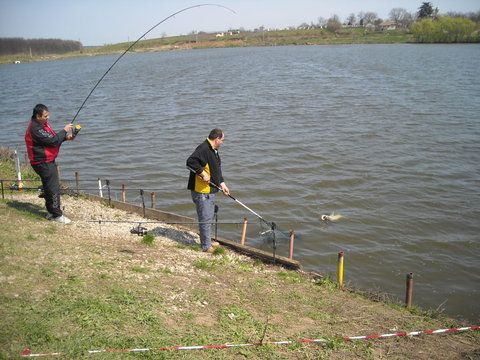 DSCN2076.jpg