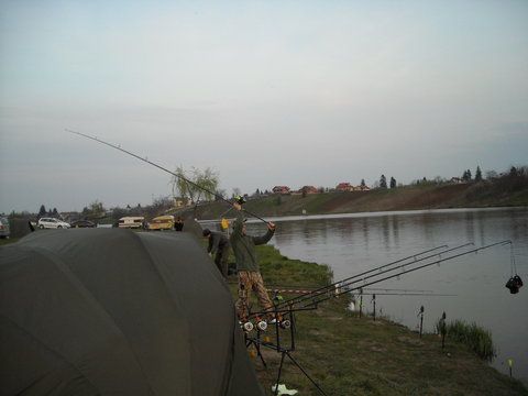 DSCN2064.jpg